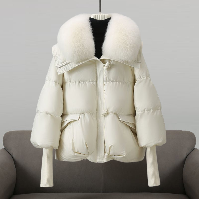 Lightweight Hooded Windbreaker Jacket, Water-Repellent & Windproof | Ideal for Spring & Autumn