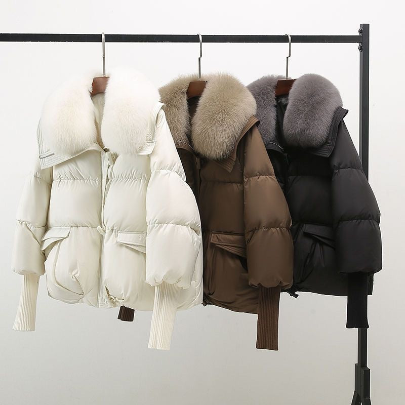 Lightweight Hooded Windbreaker Jacket, Water-Resistant & Windproof | Ideal for Spring & Autumn