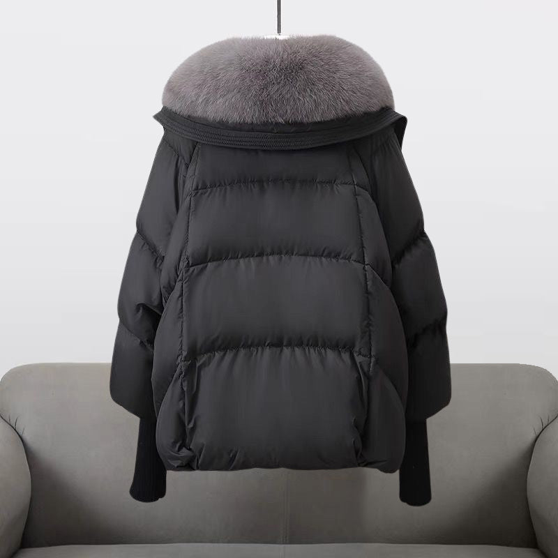 Lightweight Hooded Windbreaker Jacket, Water-Repellent & Windproof | Ideal for Spring & Autumn