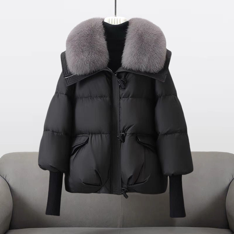 Lightweight Hooded Windbreaker Jacket, Water-Resistant & Windproof | Ideal for Spring & Autumn